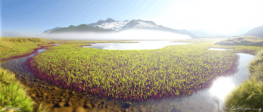 Alpine Wetland puzzle preview